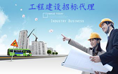 工程建設(shè)項(xiàng)目招標(biāo)代理機(jī)構(gòu)資格標(biāo)準(zhǔn)