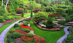 城市園林綠化資質(zhì)標(biāo)準(zhǔn)