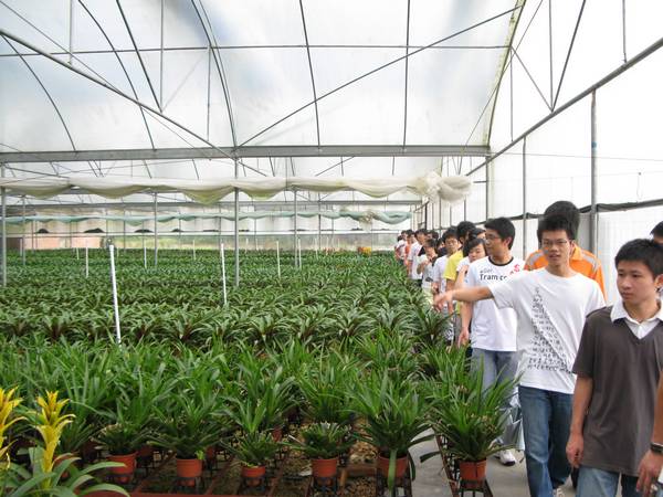 農林行業(yè)工程設計資質標準